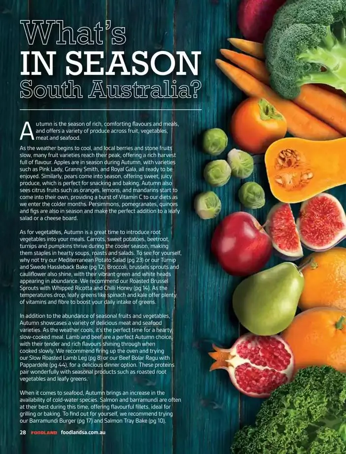 Autumn 2025 - Catalogue valid from 1 March to 30 September 2025 - page 28