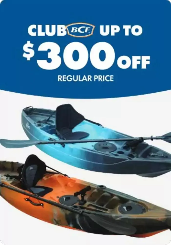 Club Offers - Catalogue valid from 28 January to 12 February 2025 - page 3