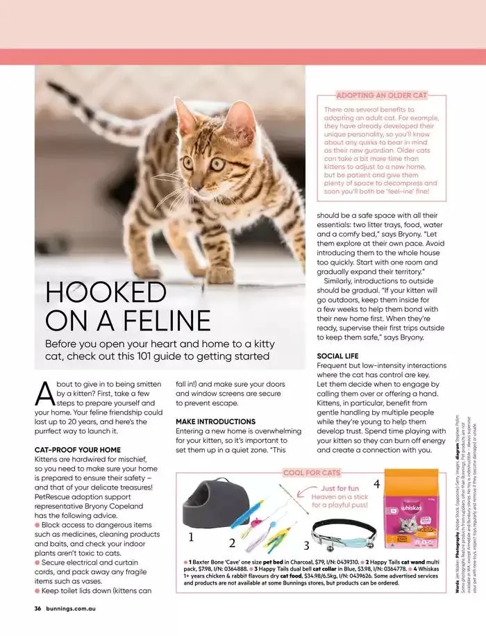 Magazine February 2025 - Catalogue valid from 1 February to 28 February 2025 - page 44