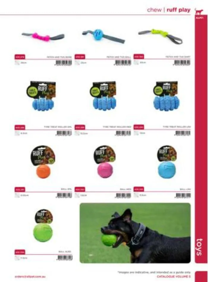 Dog Catalogue 2024 - Catalogue valid from 4 January to 31 December 2024 - page 107