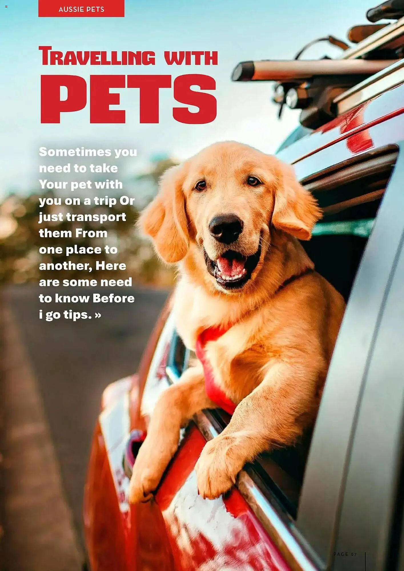 Drakes catalogue - Catalogue valid from 31 December to 30 January 2026 - page 67