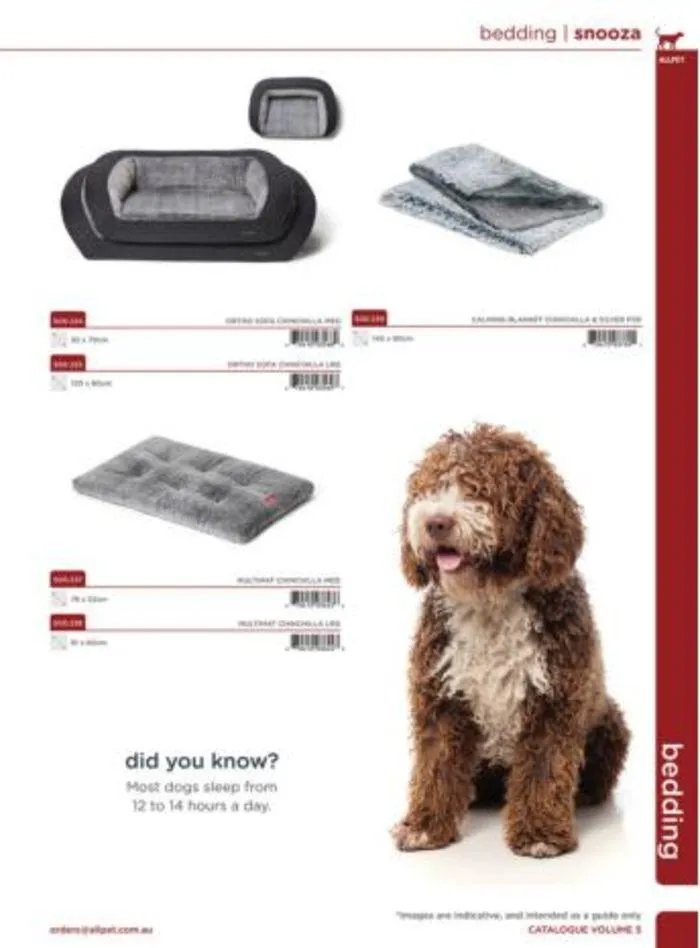 Dog Catalogue 2024 - Catalogue valid from 4 January to 31 December 2024 - page 31