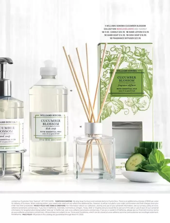 Spring 2025 - Catalogue valid from 12 December to 28 February 2025 - page 59