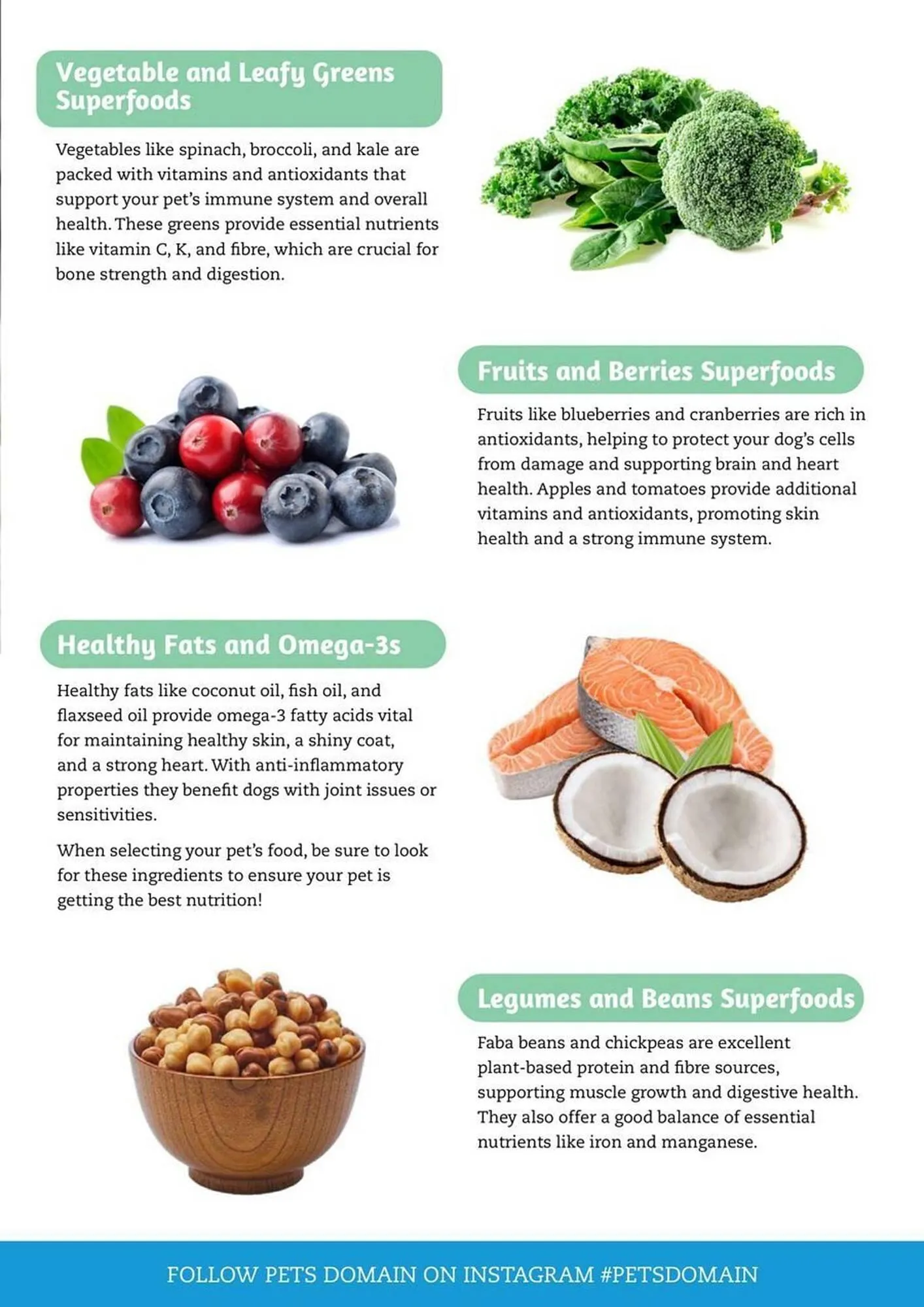 Pets Domain catalogue - Catalogue valid from 1 April to 30 June 2025 - page 23