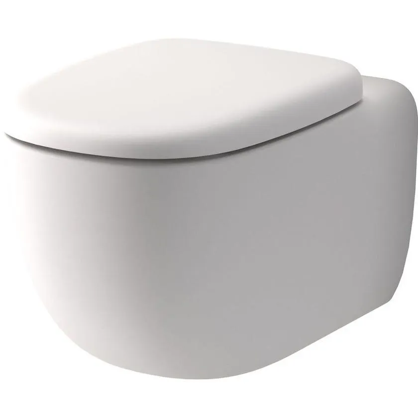 Caroma 849003MW Contura II Wall Hung Matte White Toilet and Cistern - Back Entry / P Trap