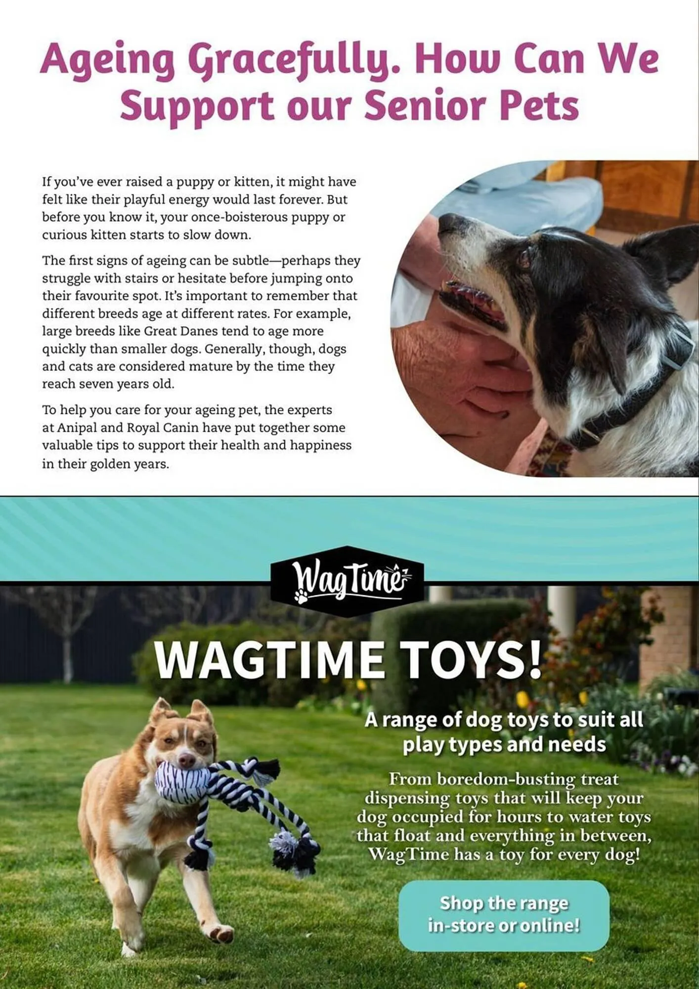 Pets Domain catalogue - Catalogue valid from 1 April to 30 June 2025 - page 16