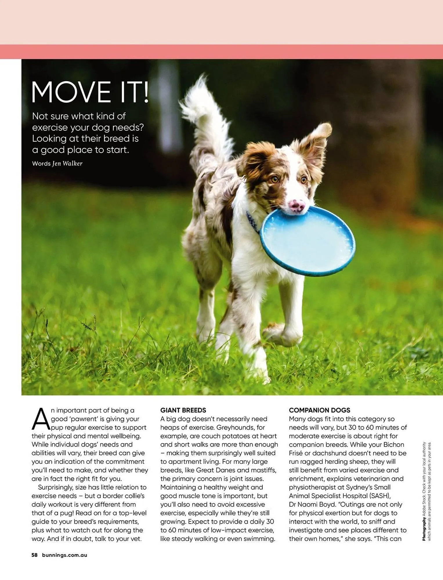 Bunnings catalogue - Catalogue valid from 1 April to 30 April 2026 - page 58