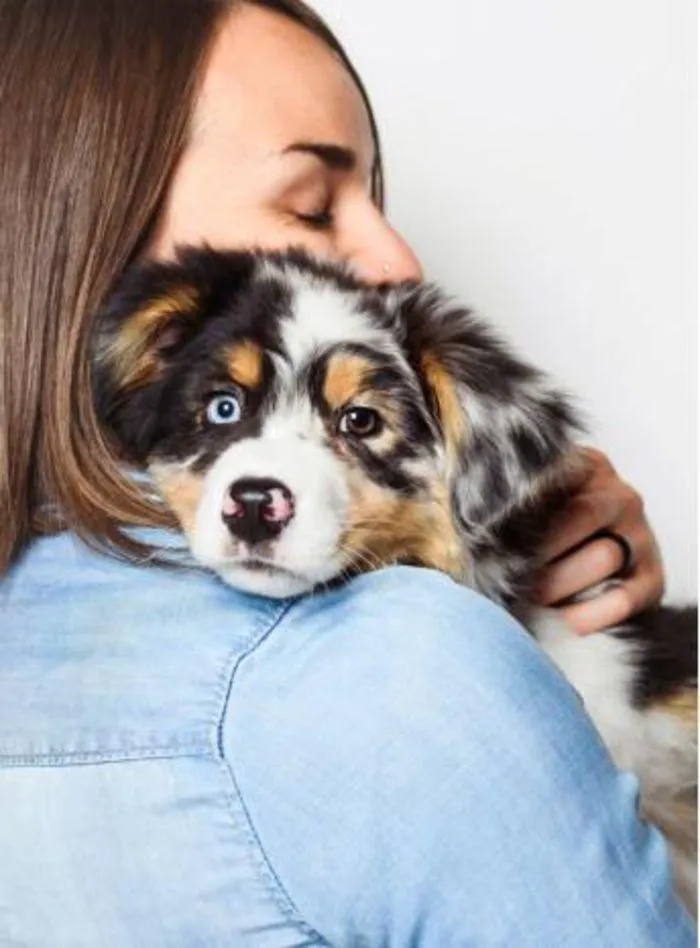 Dog Catalogue 2024 - Catalogue valid from 4 January to 28 February 2025 - page 226