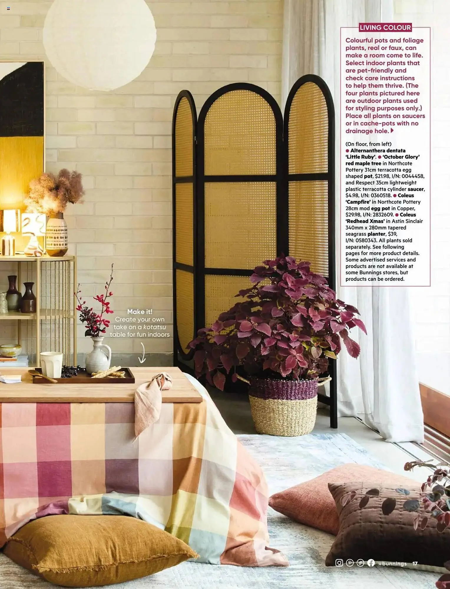 Bunnings catalogue - Catalogue valid from 1 March to 31 March 2025 - page 17