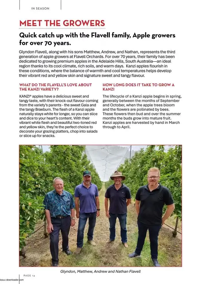 Autumn Issue - Catalogue valid from 10 March to 30 April 2025 - page 14