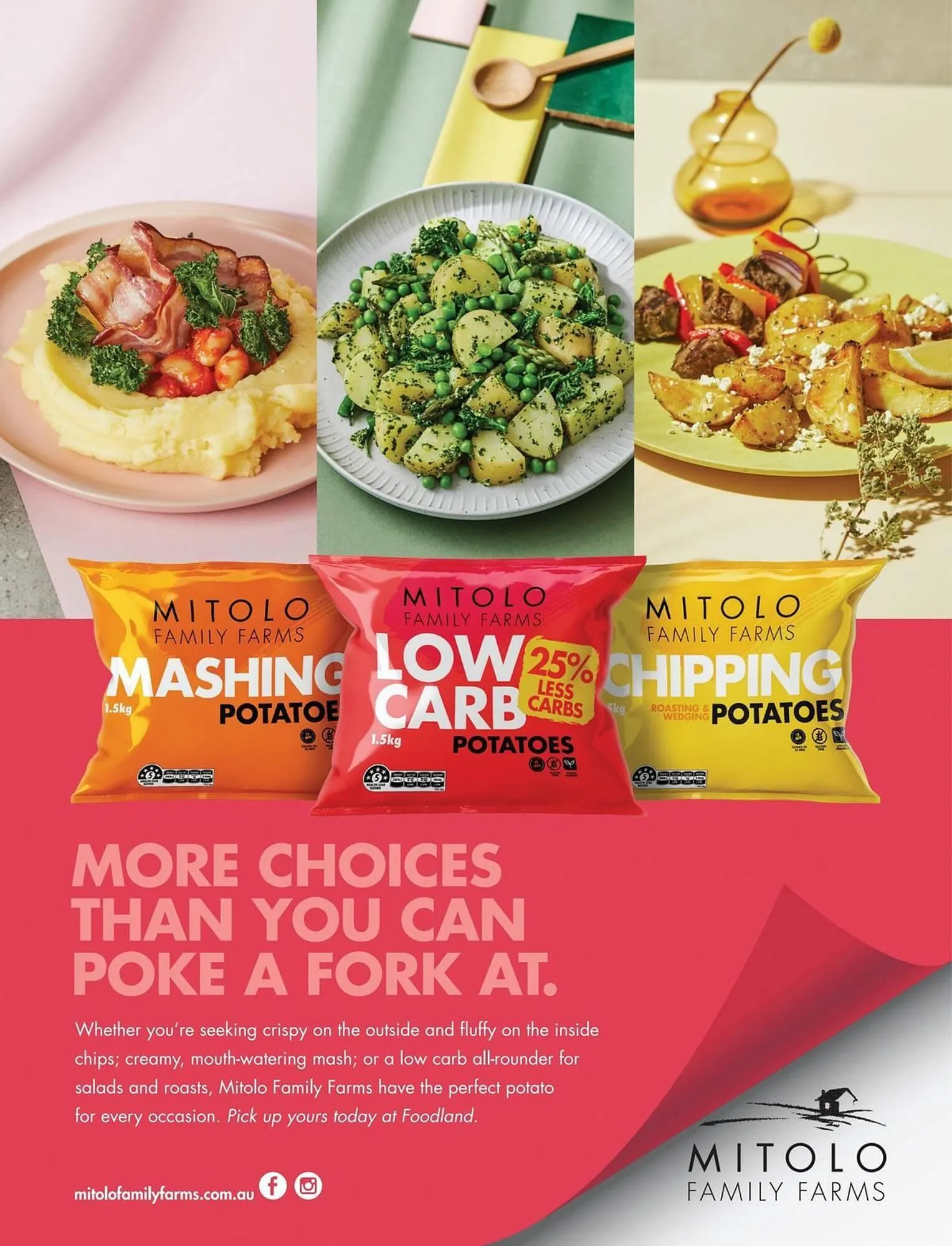 Foodland catalogue - Catalogue valid from 4 September to 4 December 2025 - page 51