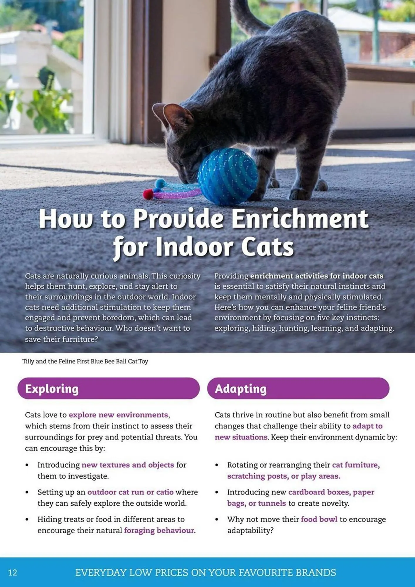 Pets Domain catalogue - Catalogue valid from 1 April to 30 June 2025 - page 12