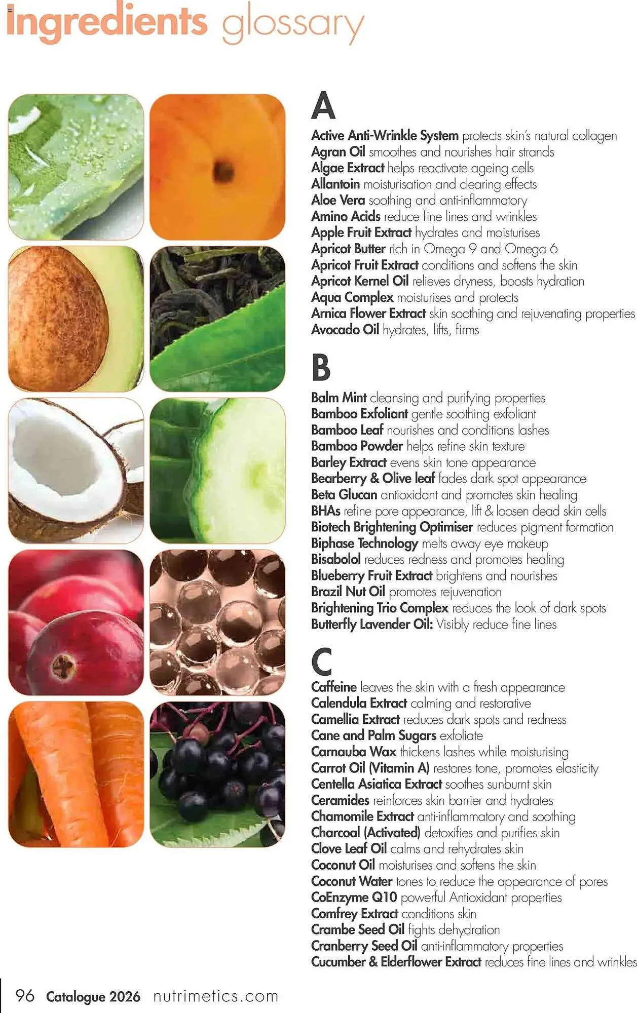 Nutrimetics catalogue - Catalogue valid from 31 December to 31 December 2026 - page 96