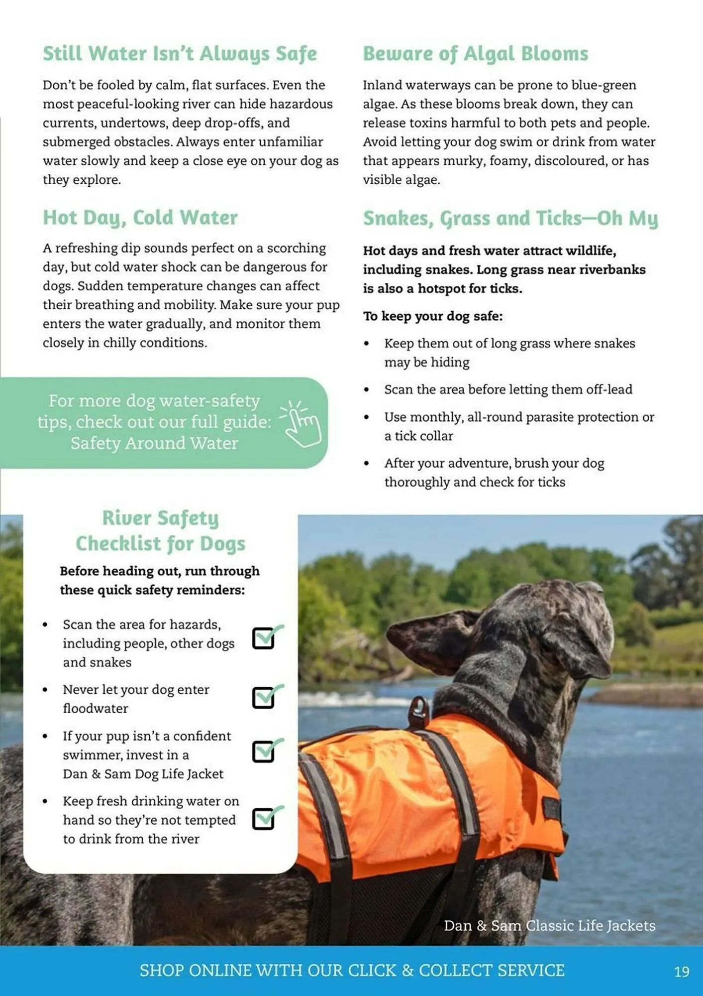 Pets Domain catalogue - Catalogue valid from 1 January to 31 March 2026 - page 19