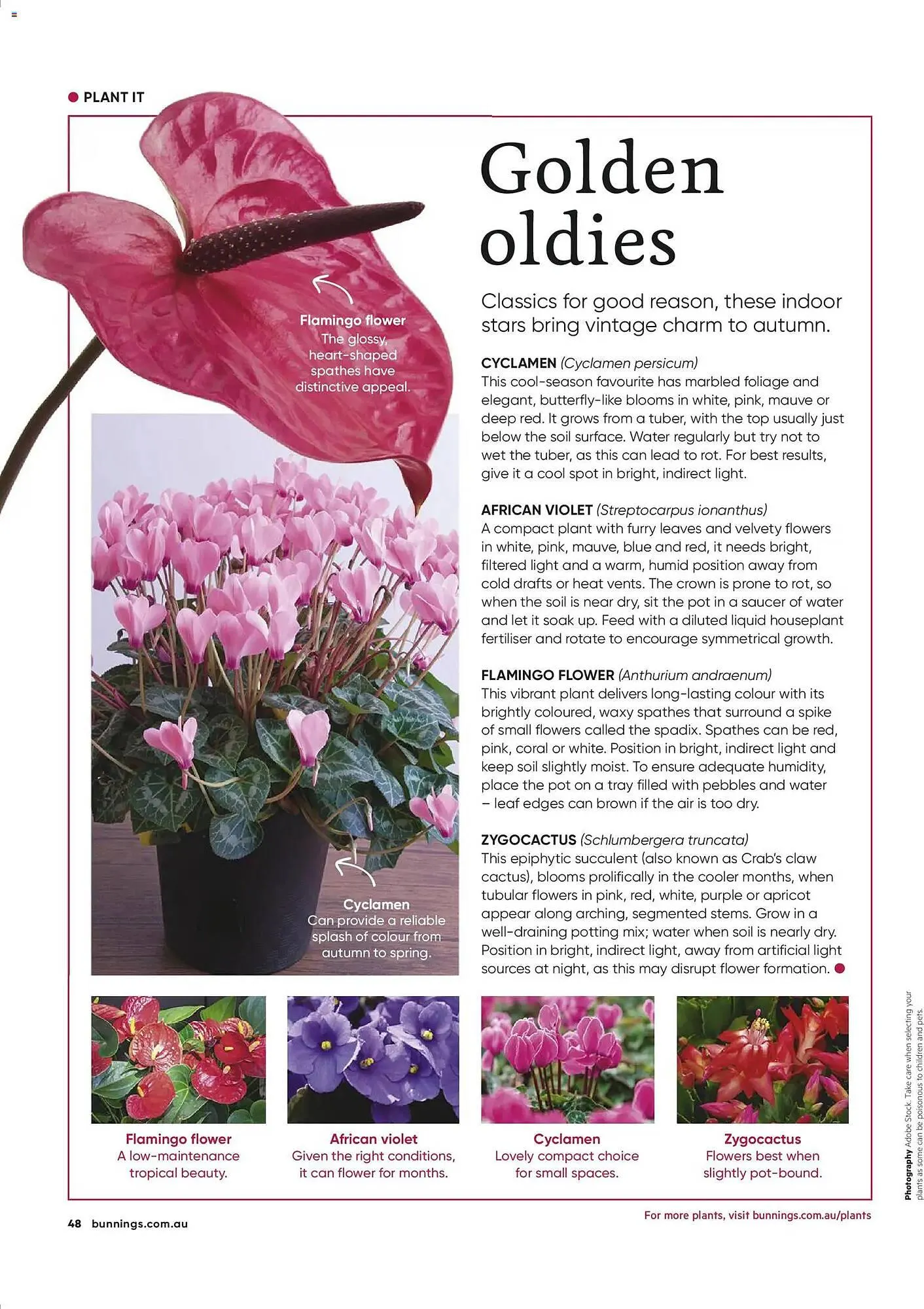 Bunnings catalogue - Catalogue valid from 28 February to 31 March 2026 - page 48