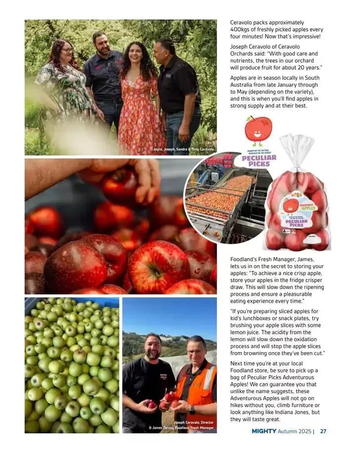 Autumn 2025 - Catalogue valid from 1 March to 30 September 2025 - page 27