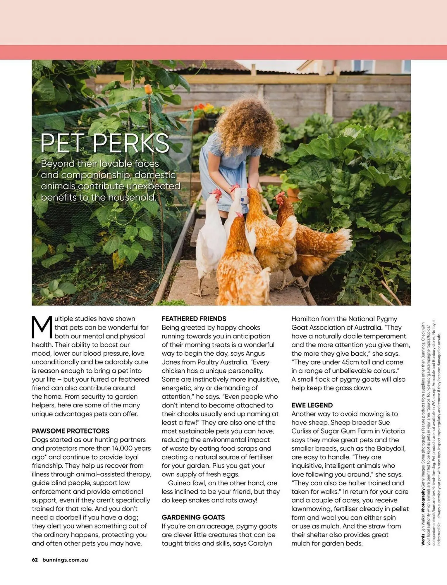 Bunnings catalogue - Catalogue valid from 1 January to 31 January 2026 - page 62