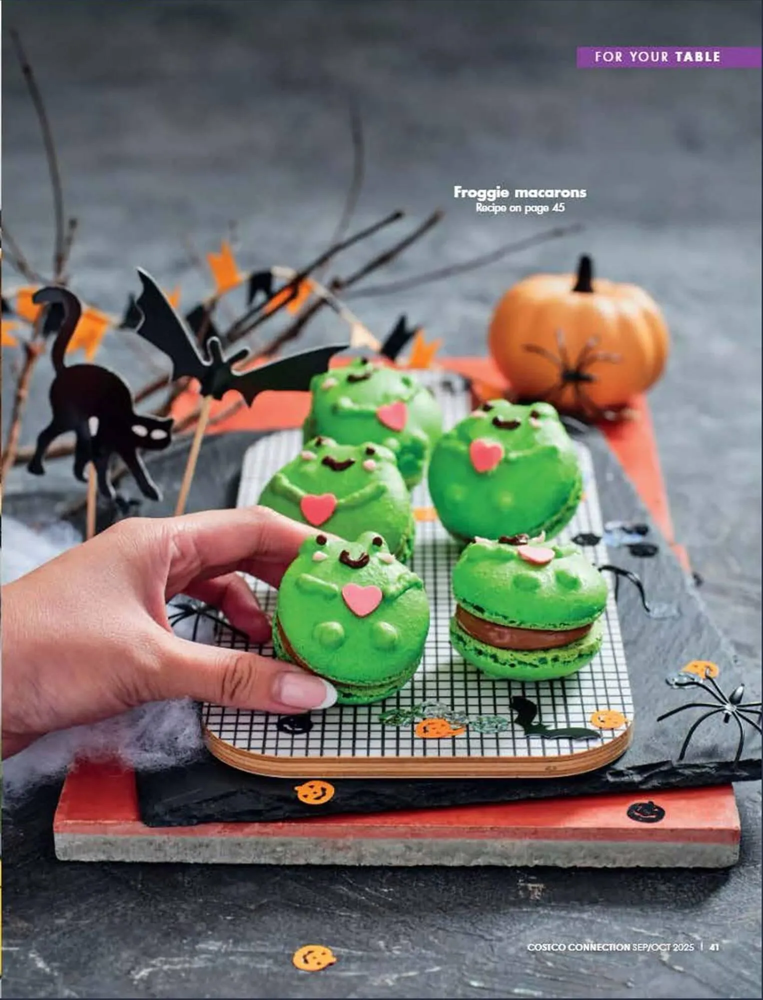 Costco catalogue - Catalogue valid from 1 September to 31 October 2025 - page 41