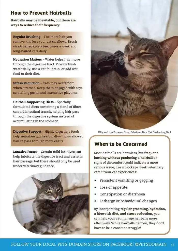 April - June 2025 - Catalogue valid from 1 April to 30 June 2025 - page 3