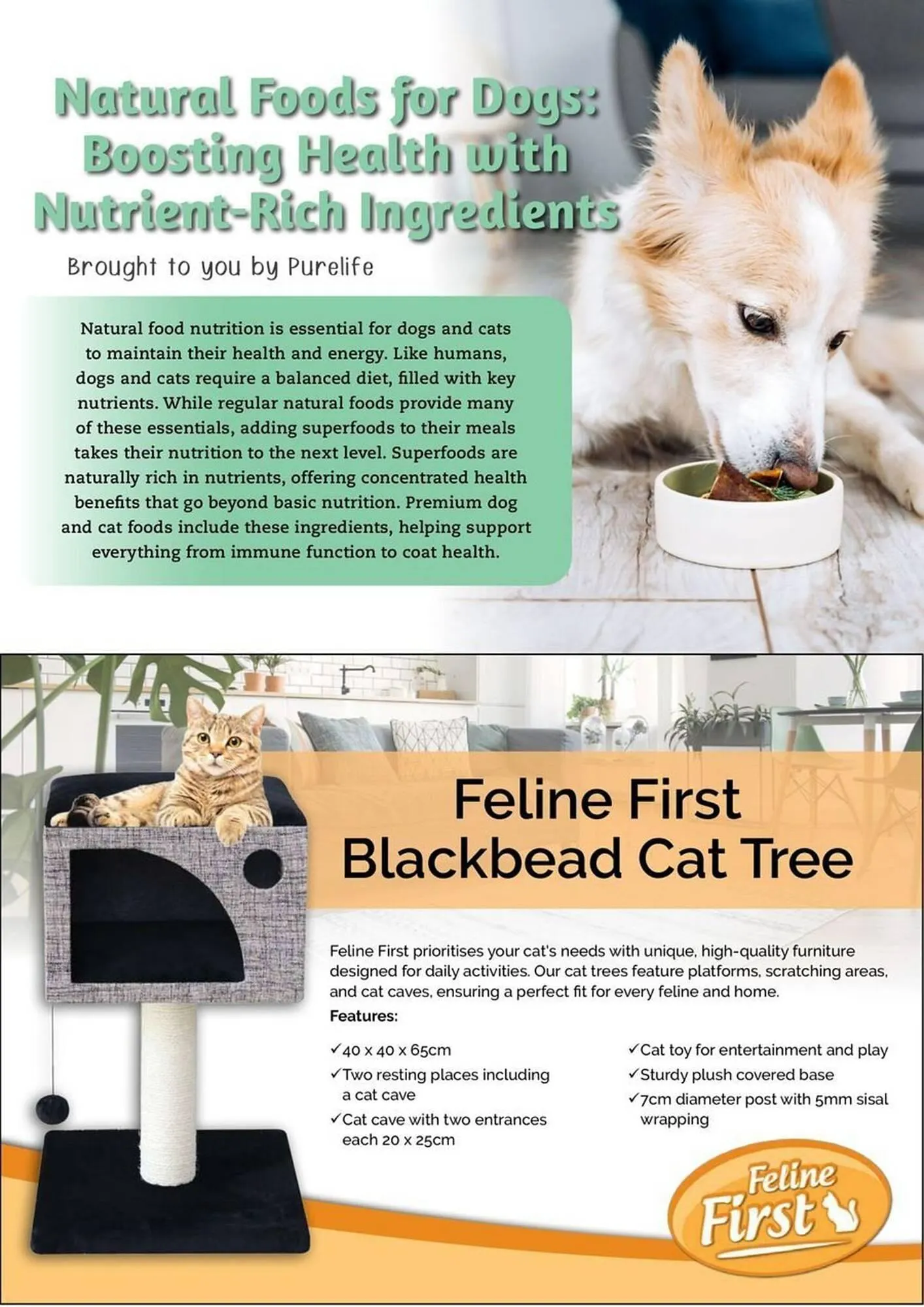 Pets Domain catalogue - Catalogue valid from 1 April to 30 June 2025 - page 22