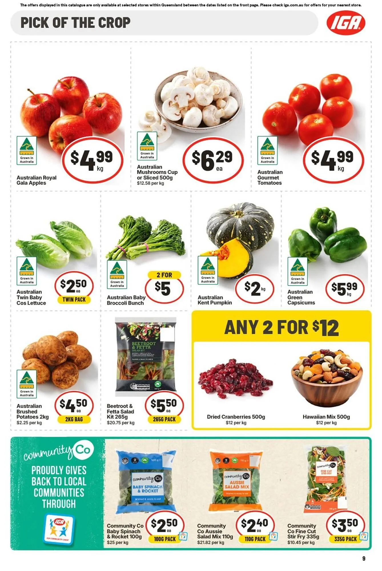 IGA catalogue - Catalogue valid from 8 April to 14 April 2026 - page 13