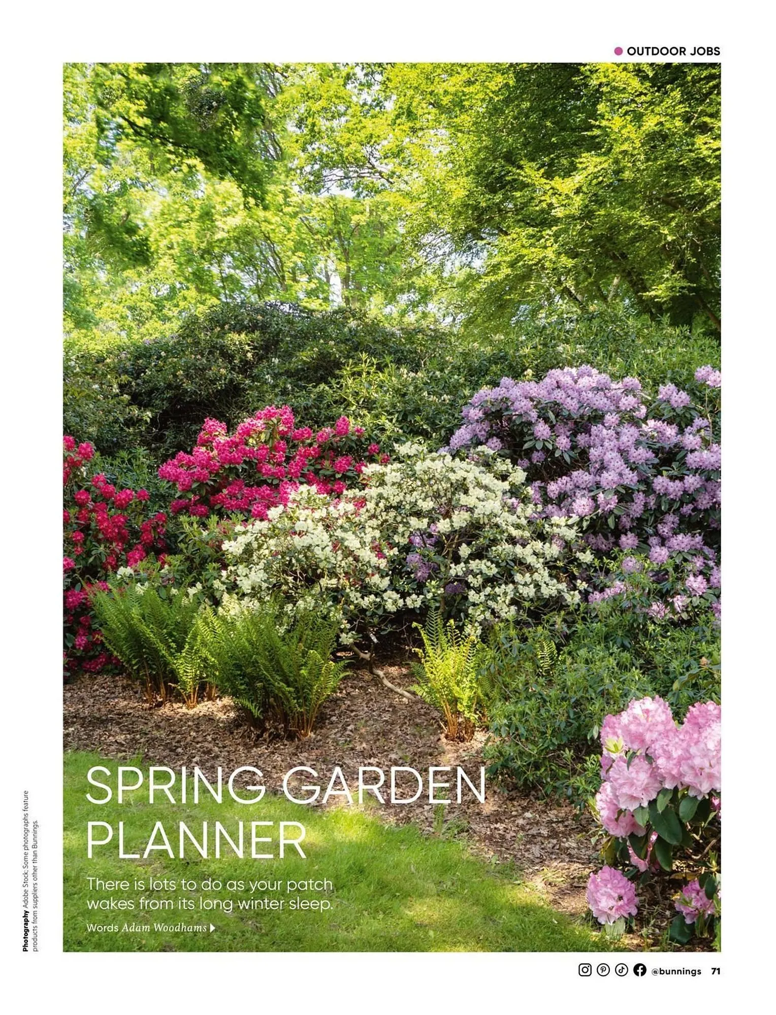 Bunnings catalogue - Catalogue valid from 1 September to 30 September 2025 - page 71