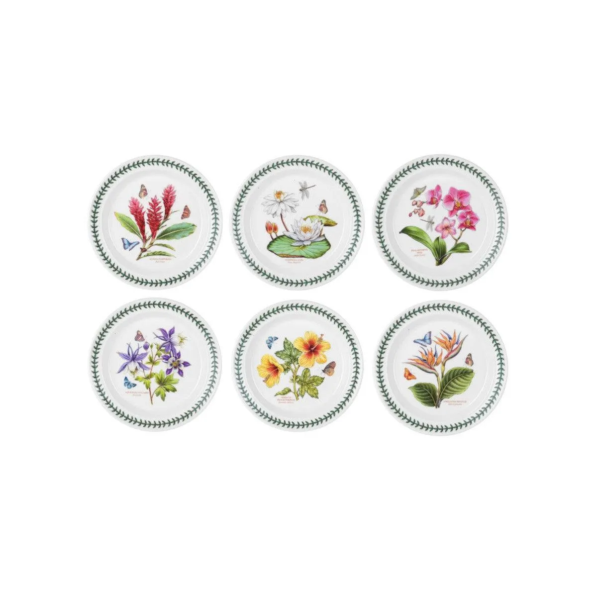 Portmeirion Exotic Botanic Garden Entrée Plate Assorted 21.5cm (price per item)