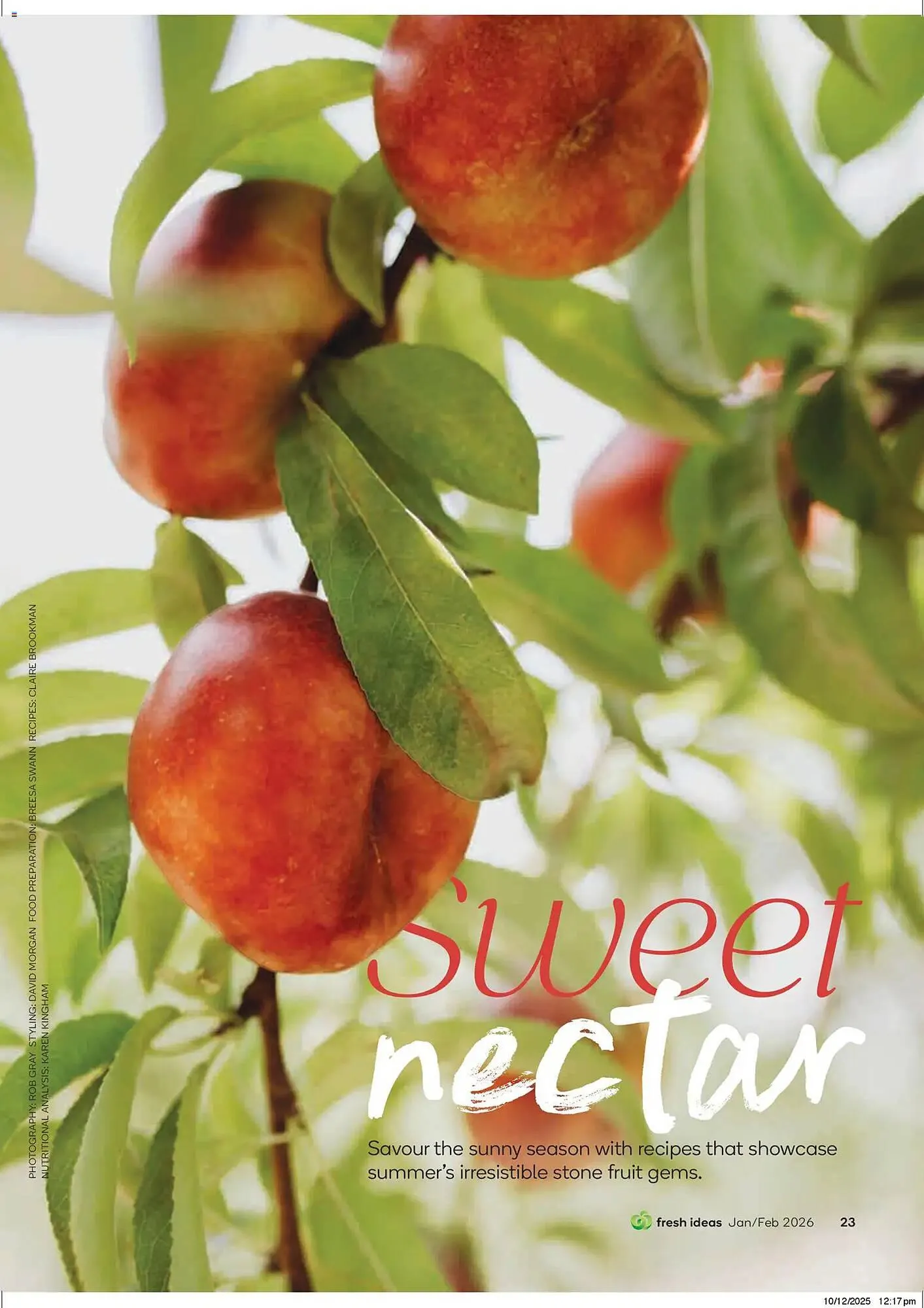 Woolworths catalogue - Catalogue valid from 13 January to 2 March 2026 - page 23