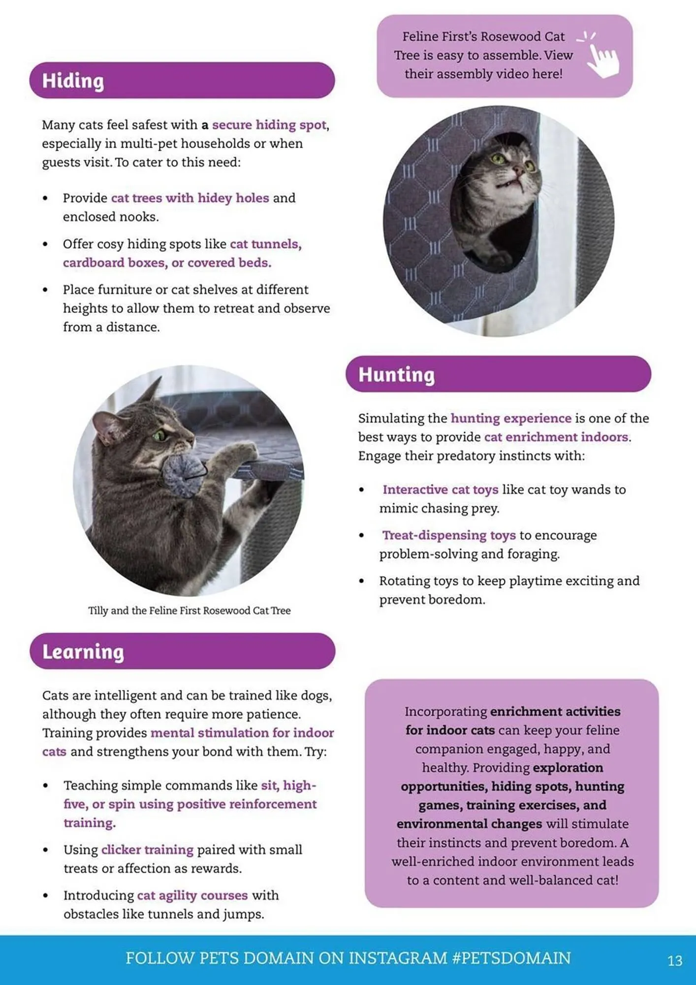 Pets Domain catalogue - Catalogue valid from 1 April to 30 June 2025 - page 13