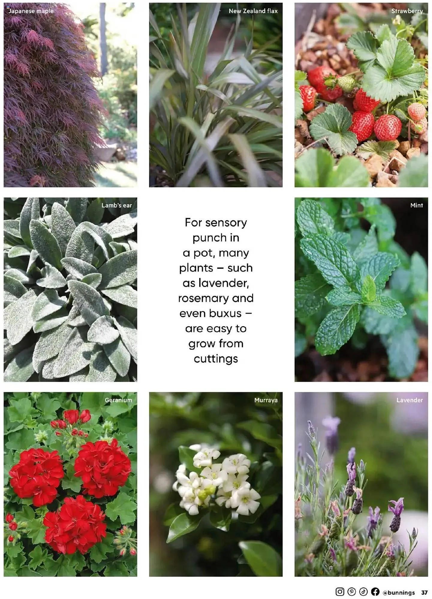 Bunnings catalogue - Catalogue valid from 1 April to 30 April 2025 - page 37