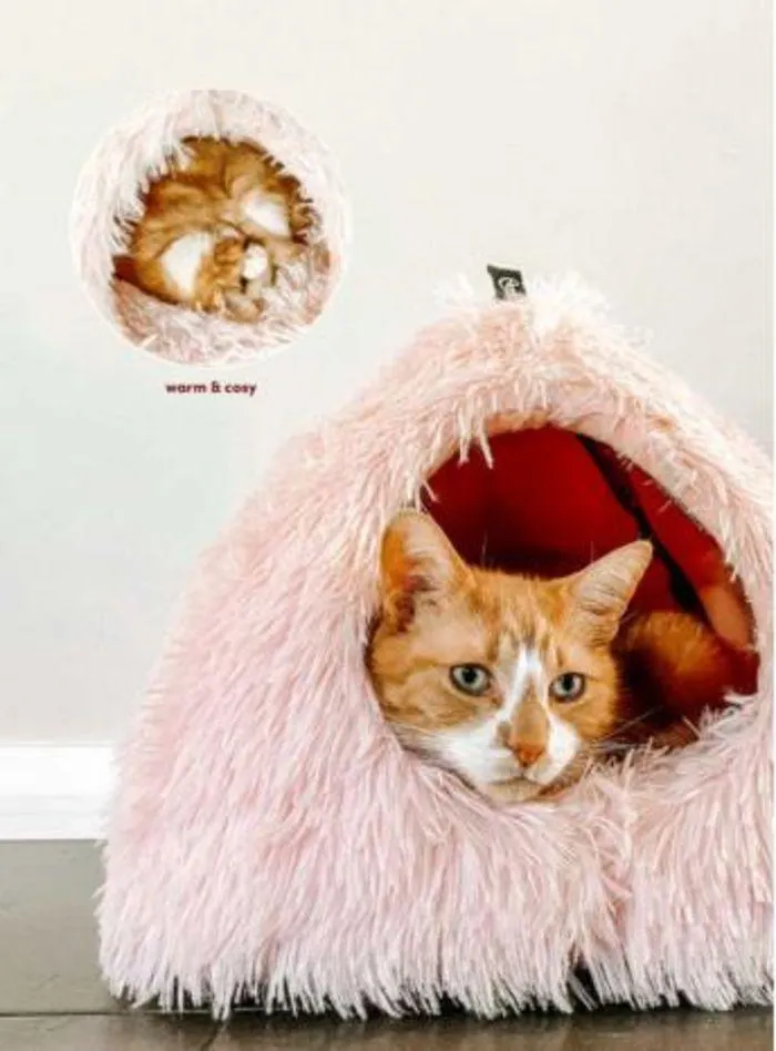 Cat Catalogue 2024 - Catalogue valid from 4 January to 28 February 2025 - page 7