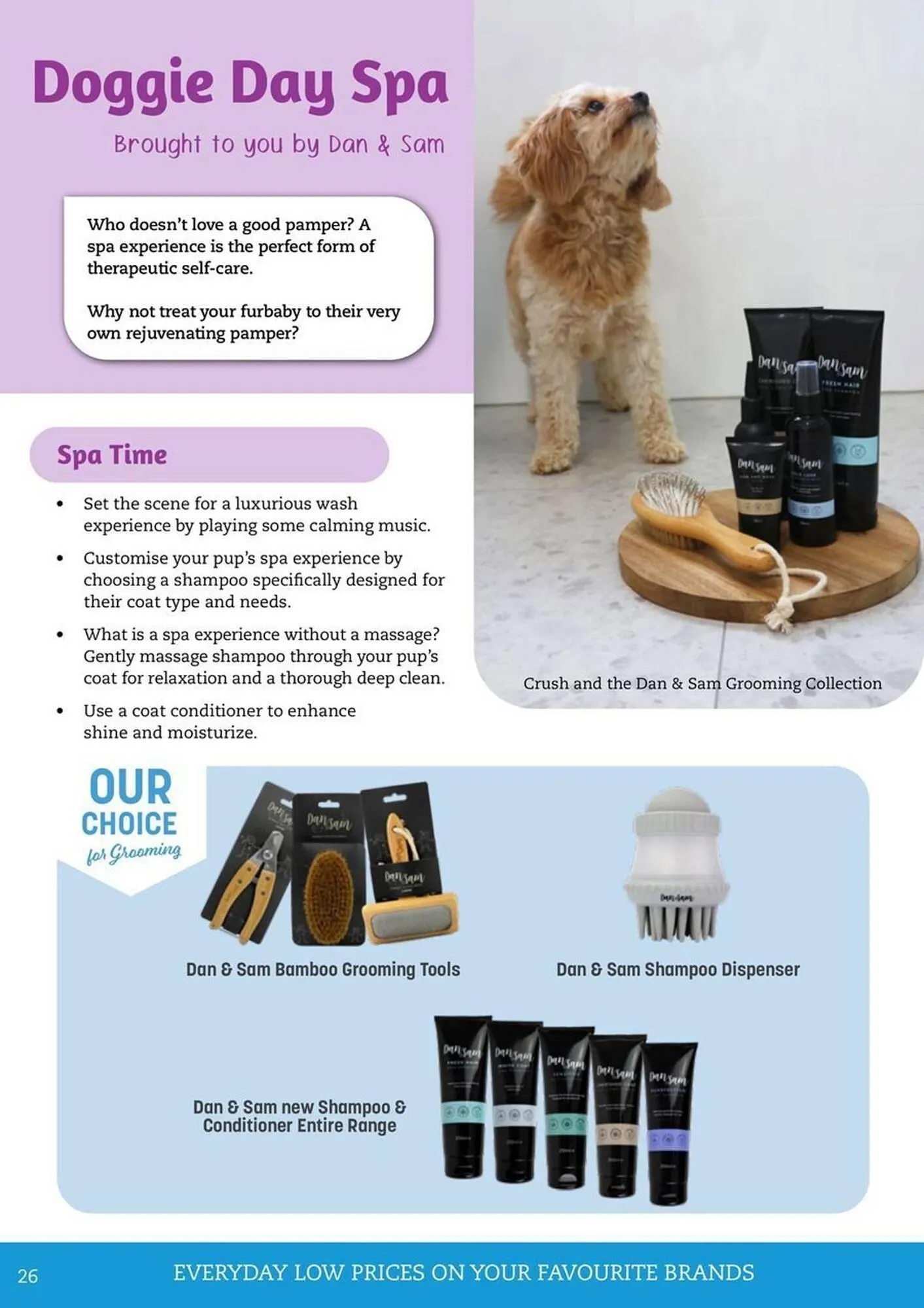 Pets Domain catalogue - Catalogue valid from 1 January to 31 March 2026 - page 26