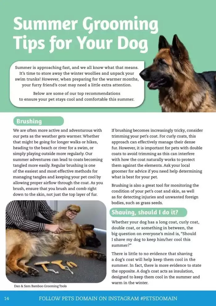 January - March 2025 - Catalogue valid from 6 January to 31 March 2025 - page 5