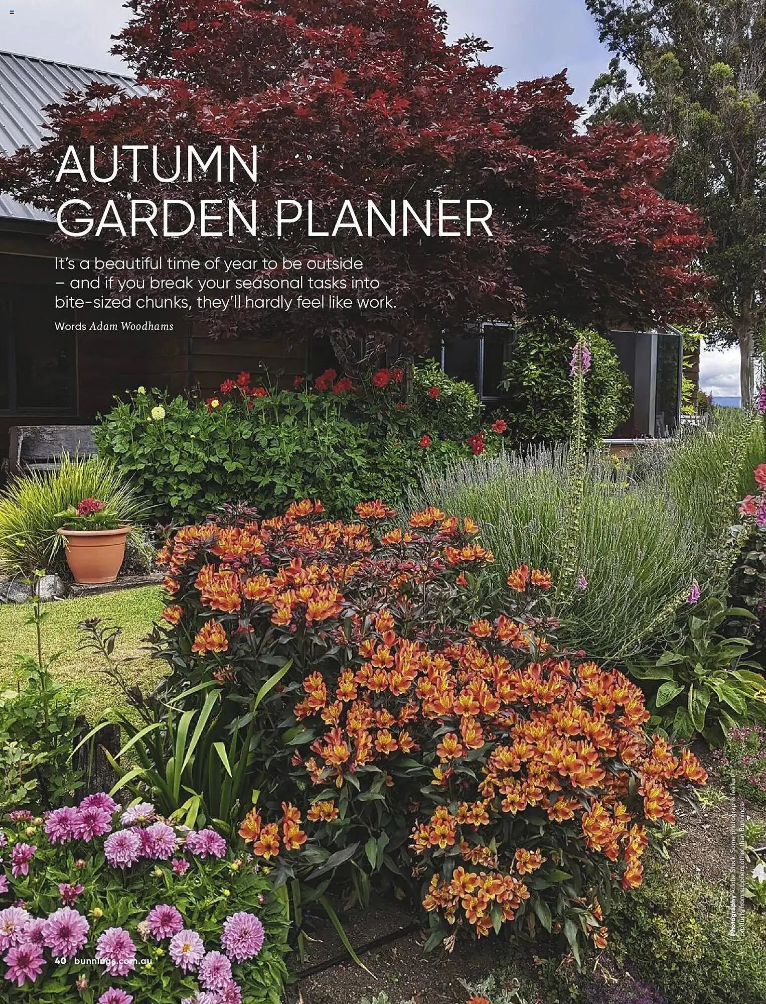 Bunnings catalogue - Catalogue valid from 28 February to 31 March 2026 - page 40