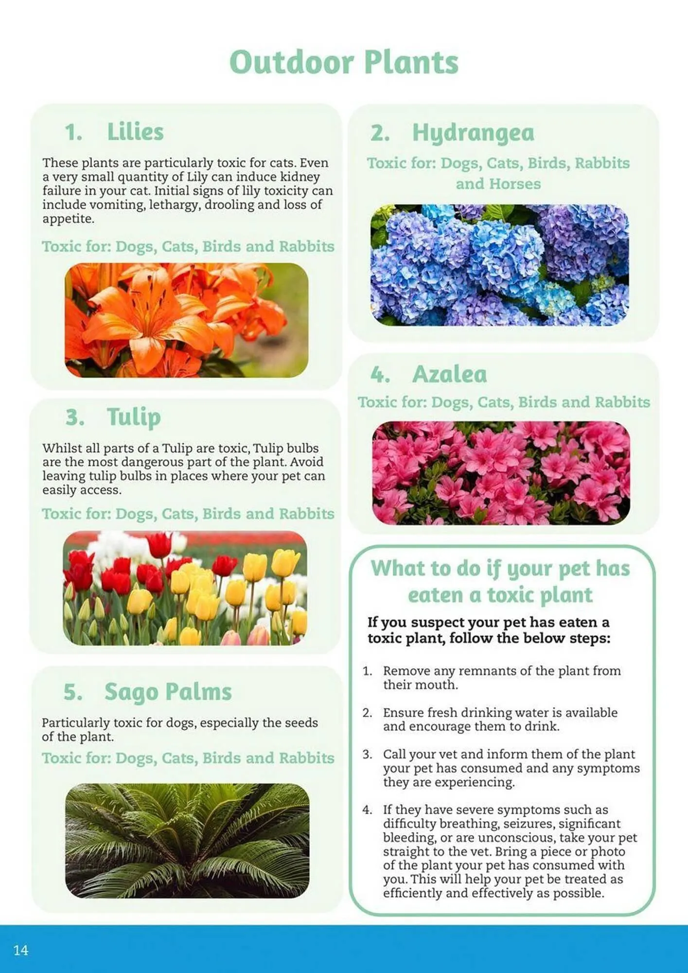 Pets Domain catalogue - Catalogue valid from 2 October to 31 December 2025 - page 14