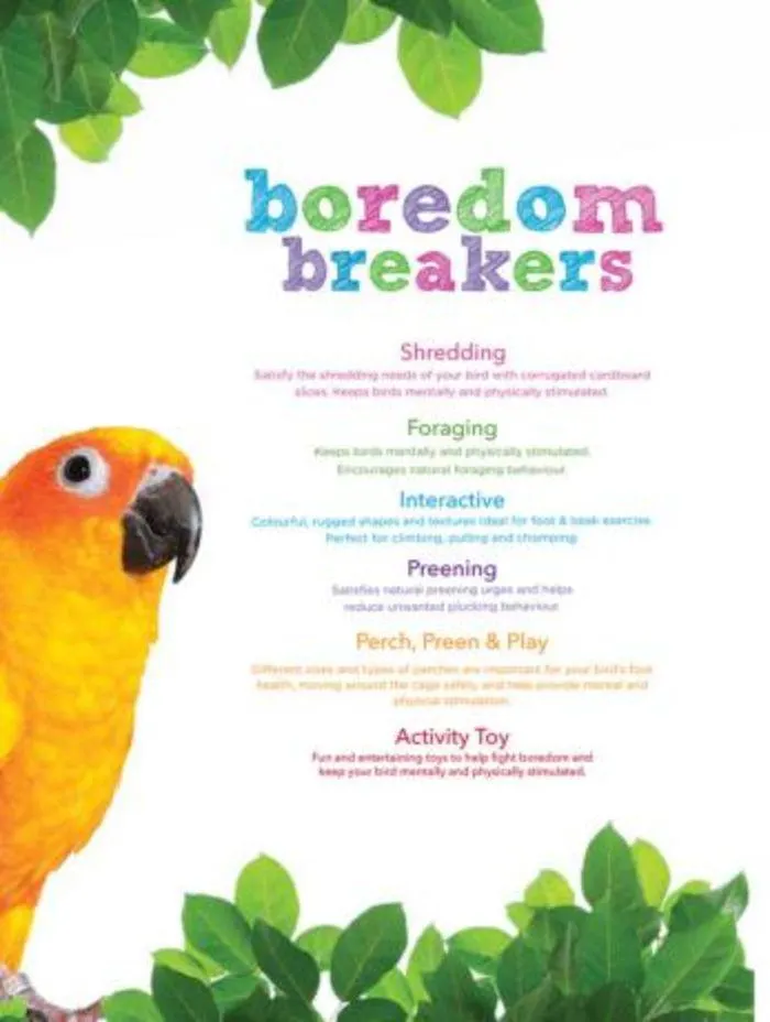 Bird Catalogue 2024 - Catalogue valid from 4 January to 28 February 2025 - page 4