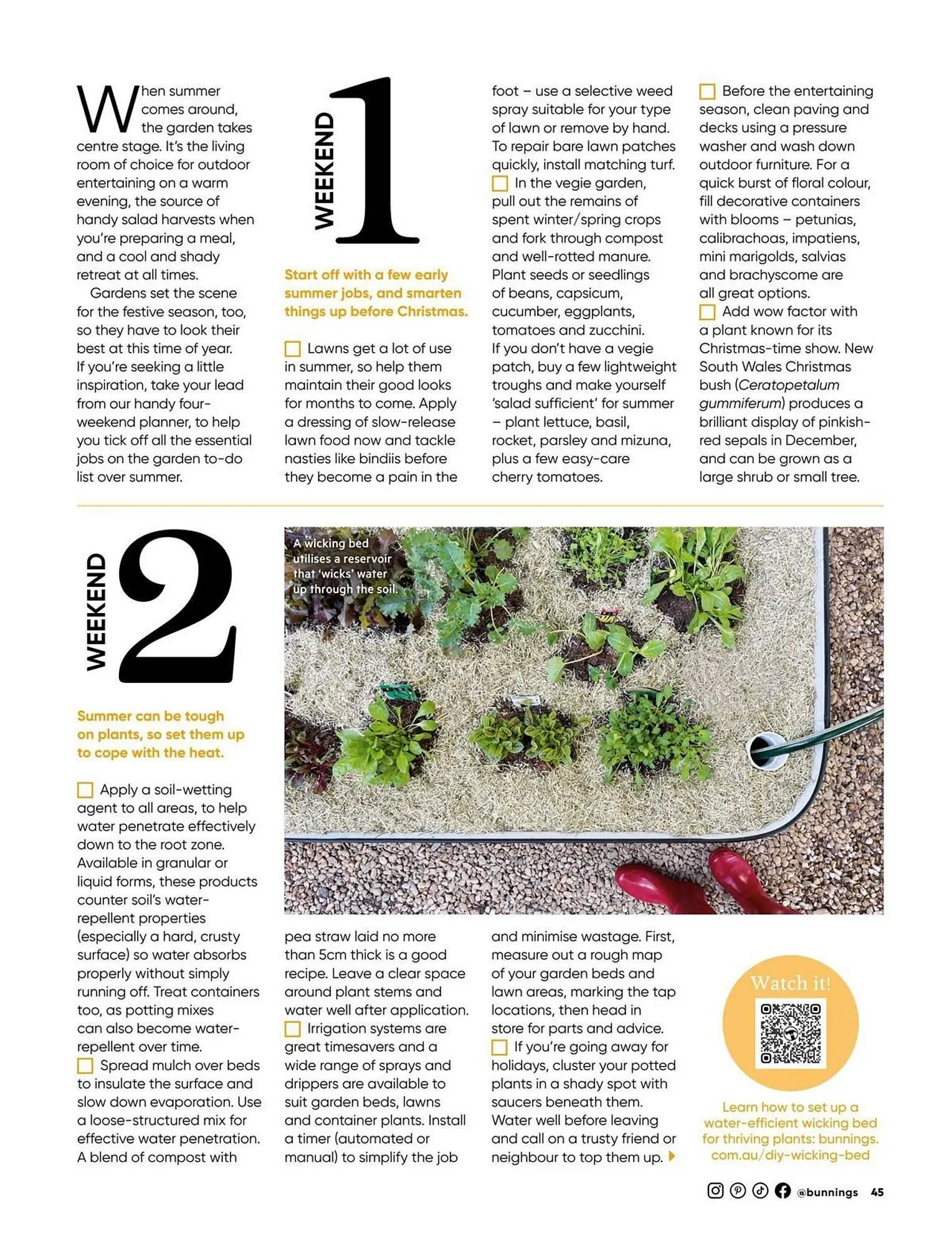 Bunnings catalogue - Catalogue valid from 1 December to 31 December 2025 - page 45