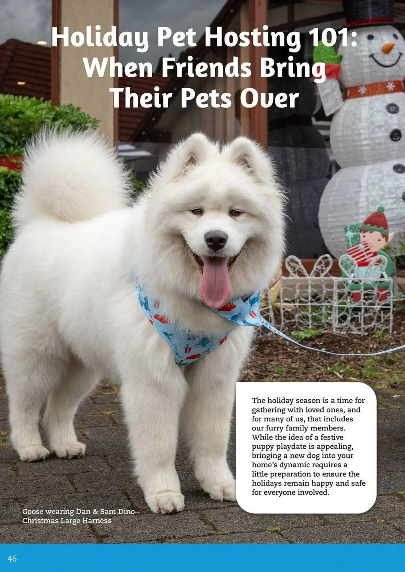 Pets Domain catalogue - Catalogue valid from 2 October to 31 December 2025 - page 46