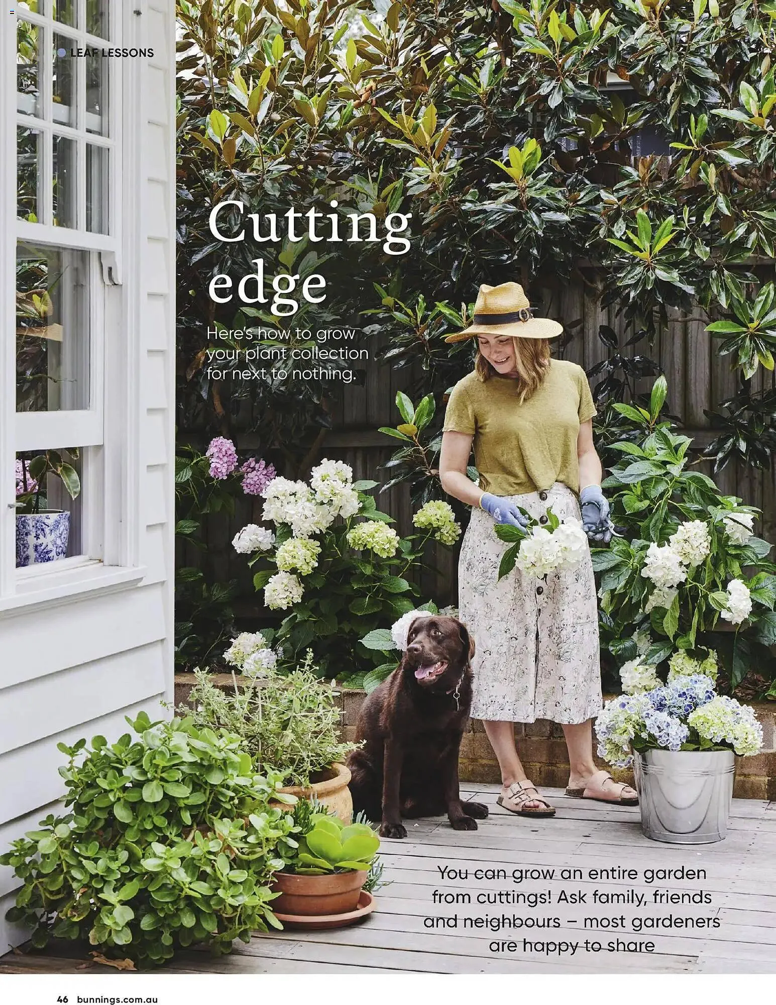 Bunnings catalogue - Catalogue valid from 30 April to 30 June 2026 - page 46