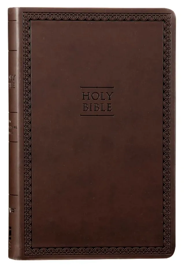NIV Value Thinline Bible Brown (Black Letter Edition)