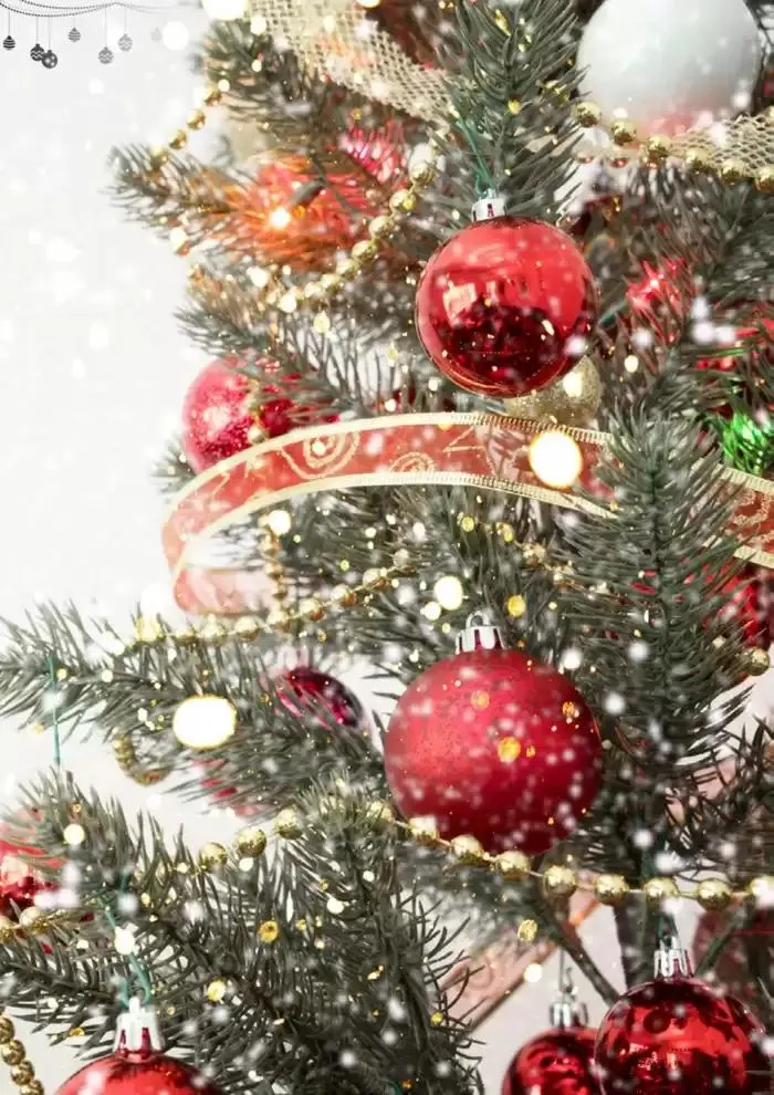 Christmas Issue - Catalogue valid from 21 November to 24 December 2024 - page 19