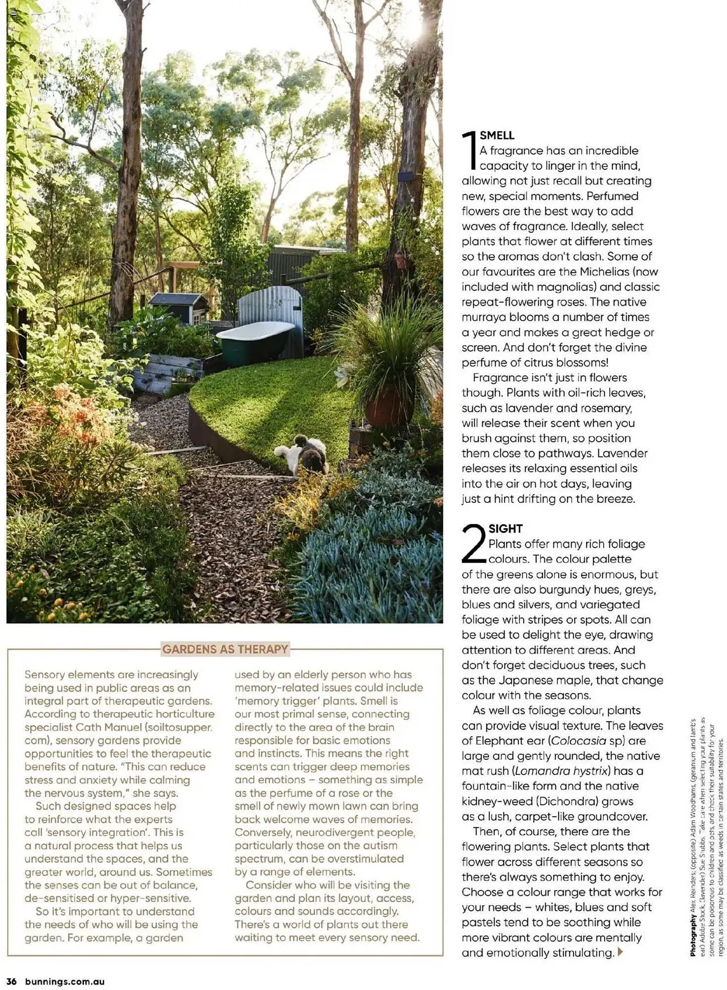 Bunnings catalogue - Catalogue valid from 1 April to 30 April 2025 - page 36