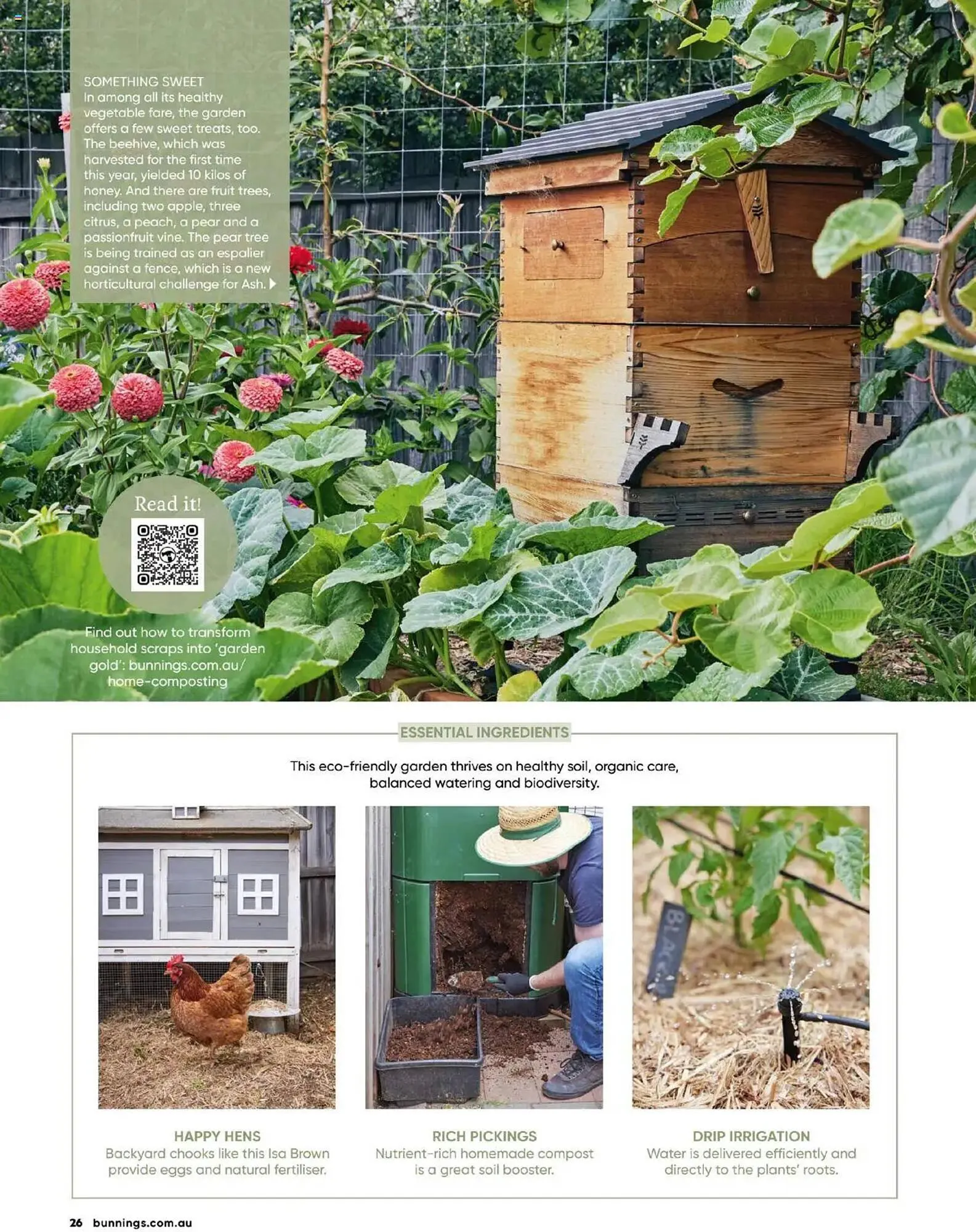 Bunnings catalogue - Catalogue valid from 30 September to 31 October 2025 - page 26