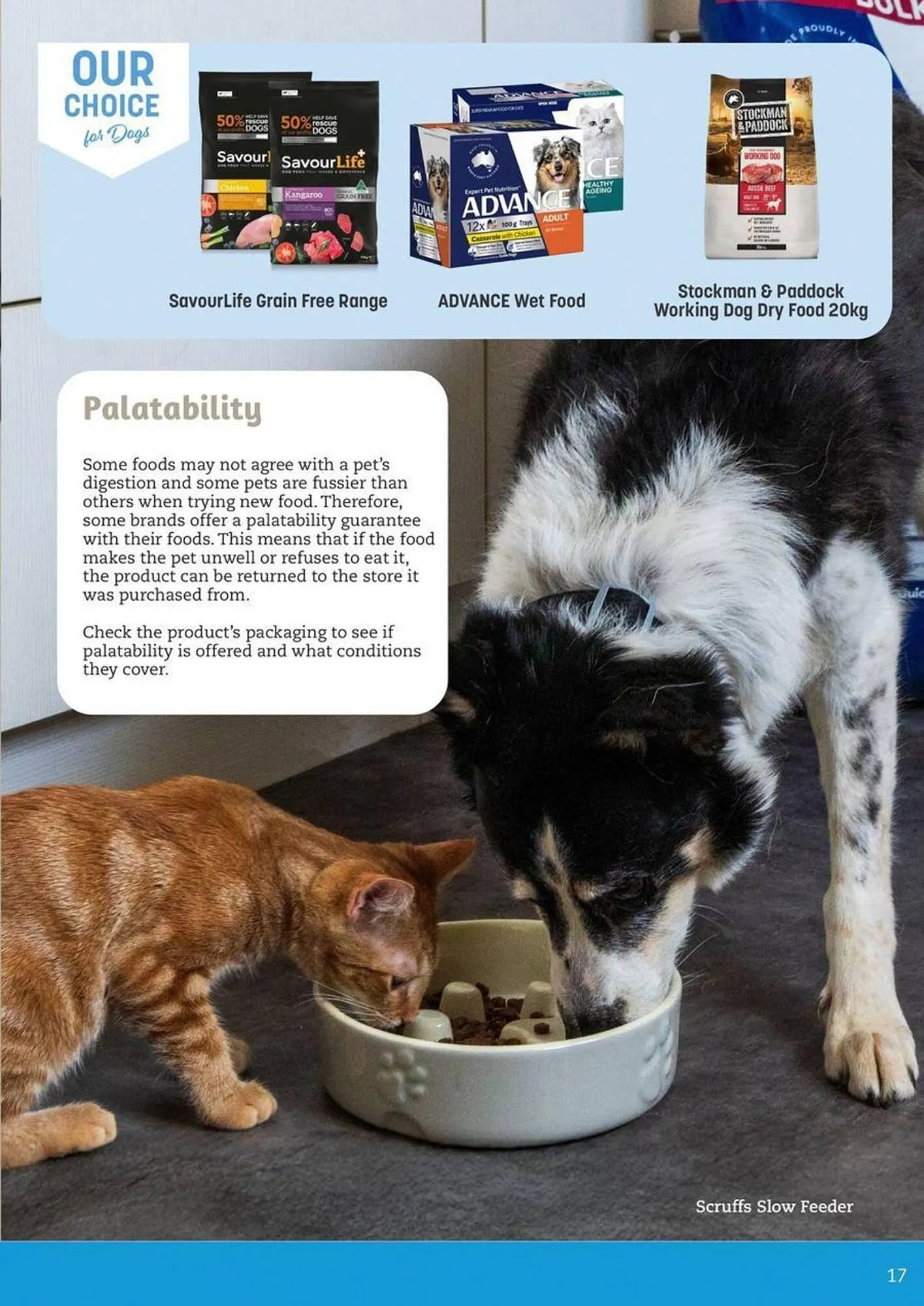 Pets Domain catalogue - Catalogue valid from 2 October to 31 December 2025 - page 17