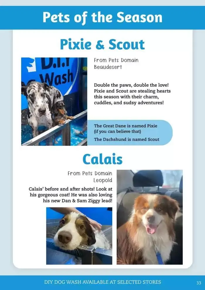 April - June 2025 - Catalogue valid from 1 April to 30 June 2025 - page 25