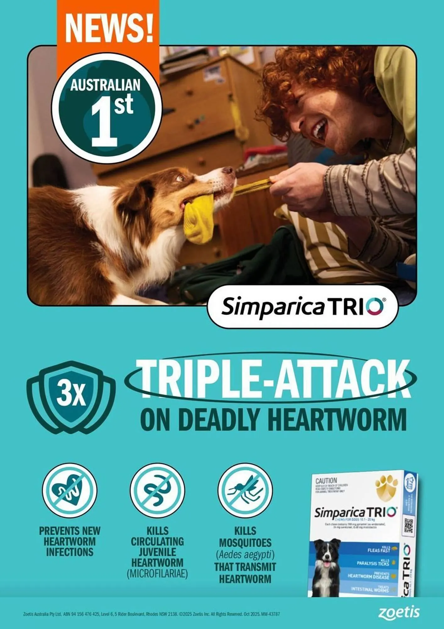 Pets Domain catalogue - Catalogue valid from 1 January to 31 March 2026 - page 13