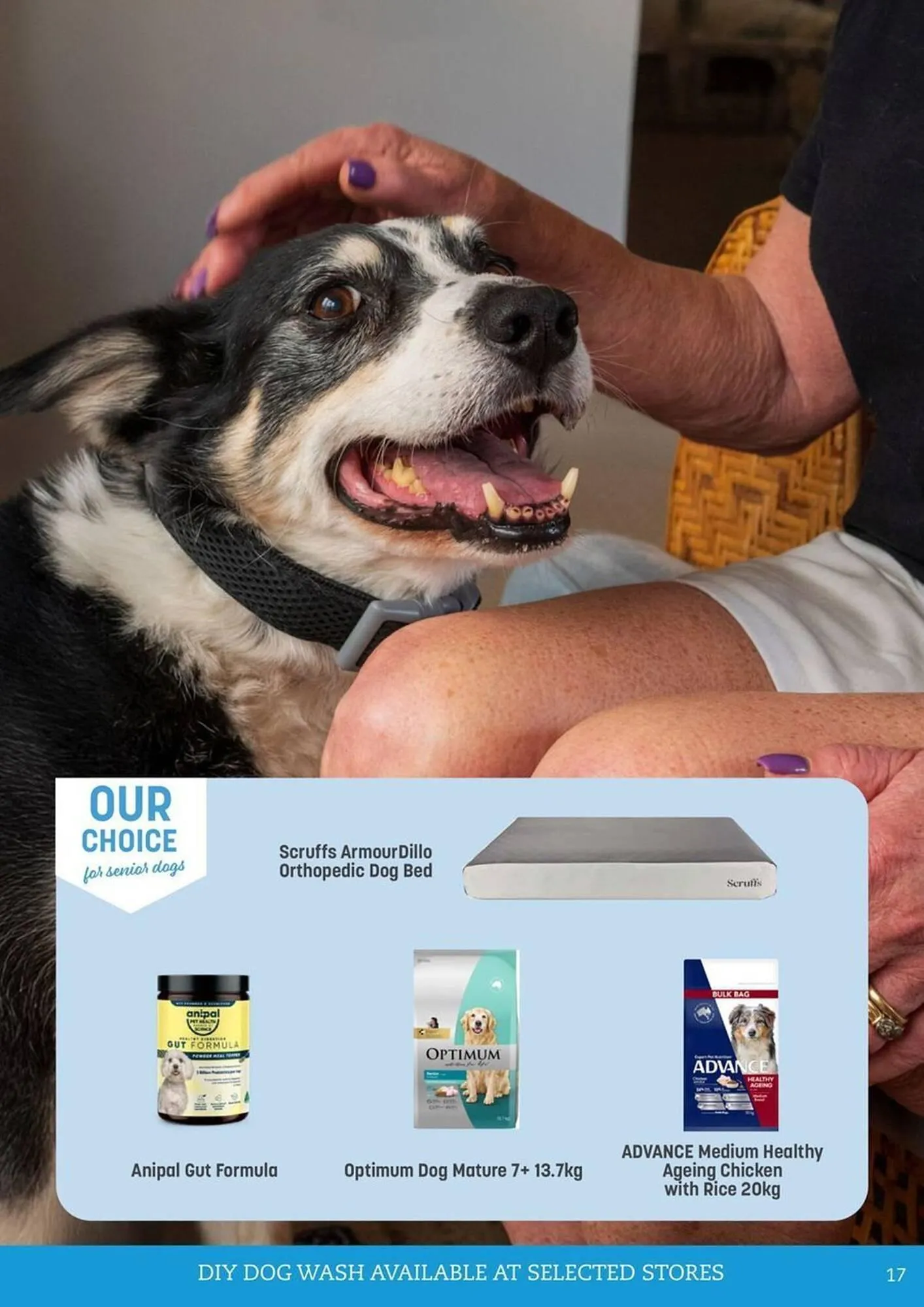 Pets Domain catalogue - Catalogue valid from 1 April to 30 June 2025 - page 17