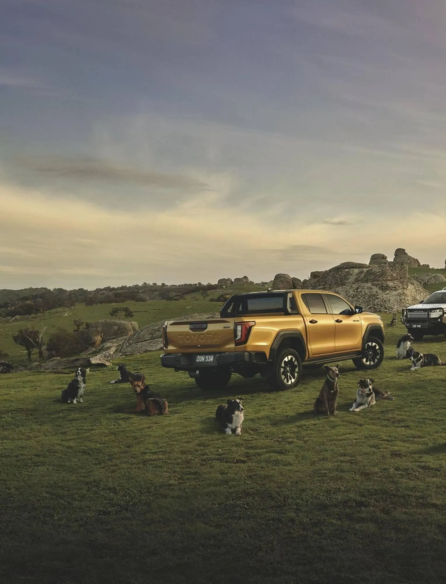 Bunnings catalogue - Catalogue valid from 1 January to 31 January 2026 - page 2