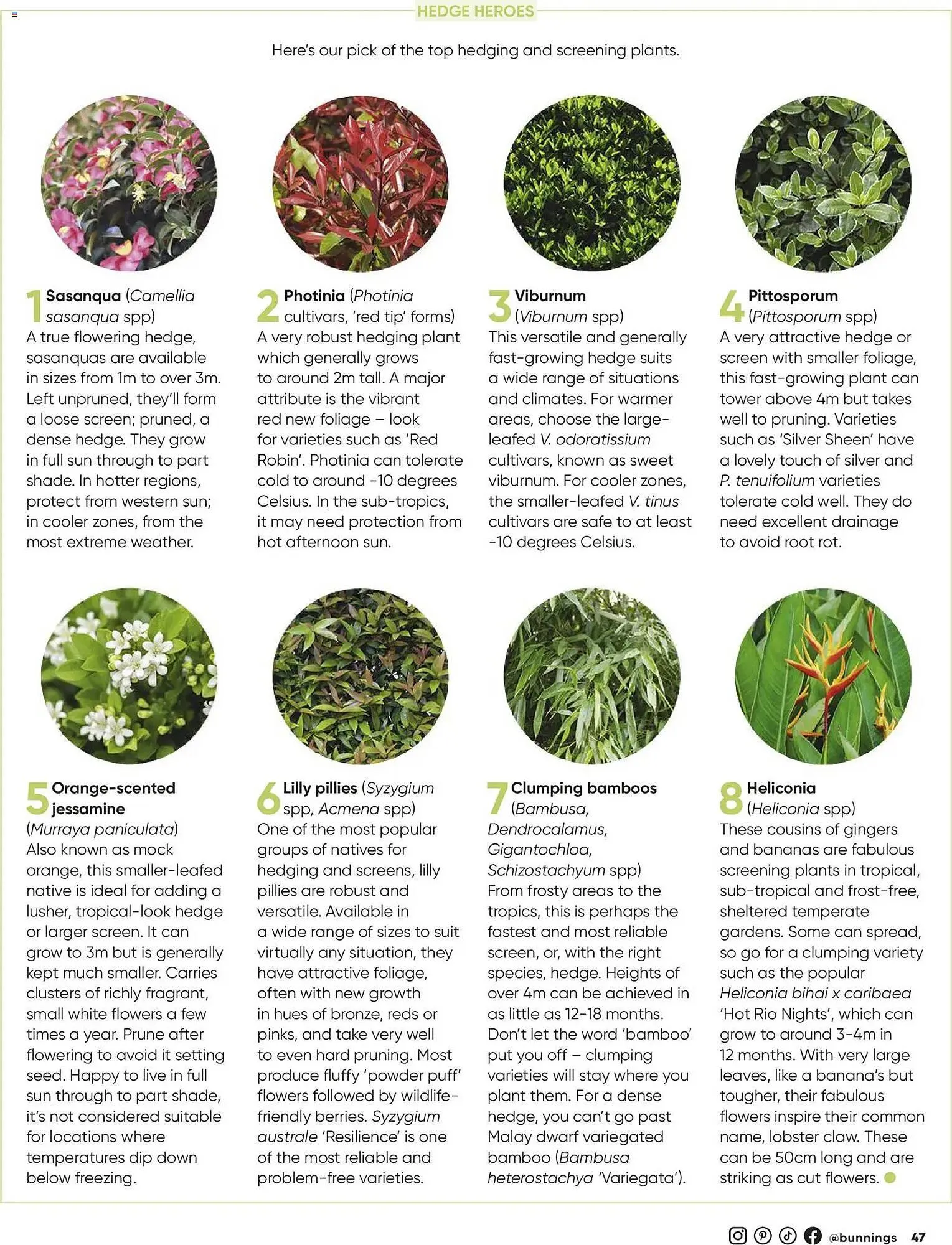 Bunnings catalogue - Catalogue valid from 28 February to 31 March 2026 - page 47