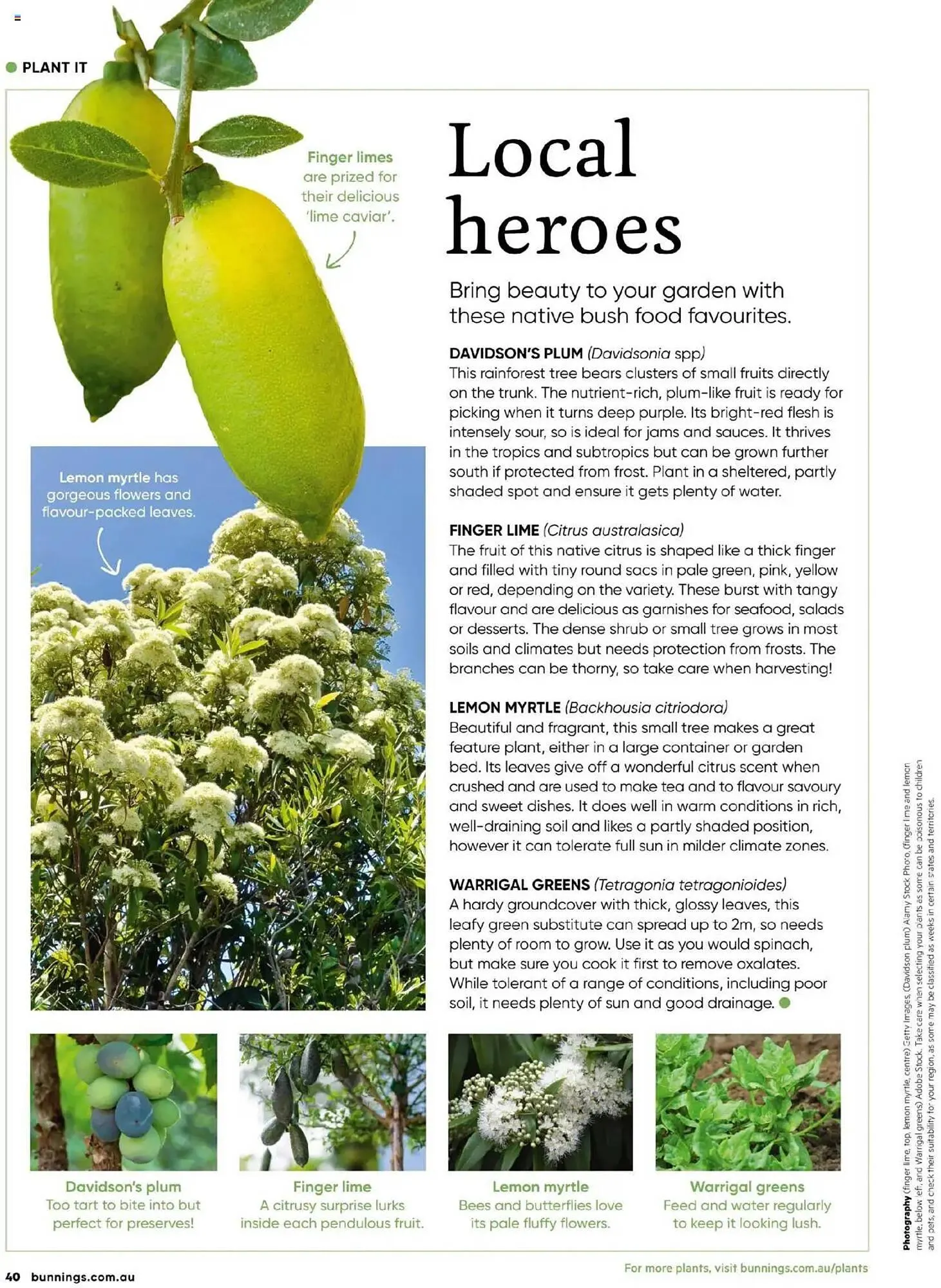 Bunnings catalogue - Catalogue valid from 1 April to 30 April 2025 - page 40